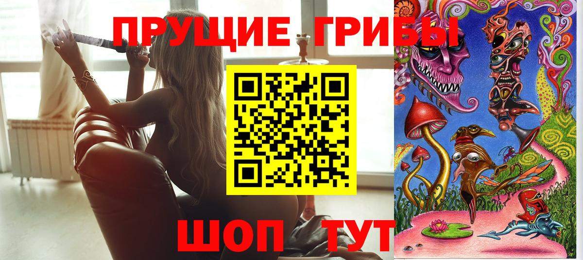 Галлюциногенные грибы мицелий  Вход с VPN  Фрязино 